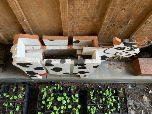 D16080B1-F3F4-4439-A7C9-DD013536E27E.jpeg D16080B1-F3F4-4439-A7C9-DD013536E27E.jpeg