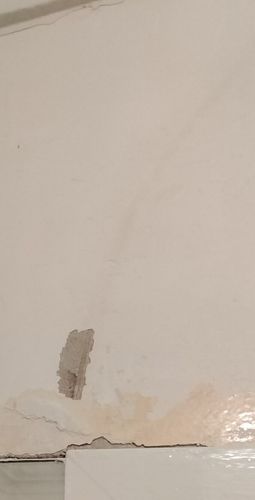 IMG_20240806_055857.jpg IMG_20240806_055857.jpg