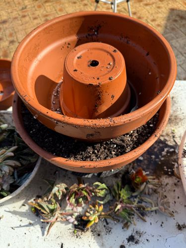 IMG_1234.jpeg IMG_1234.jpeg