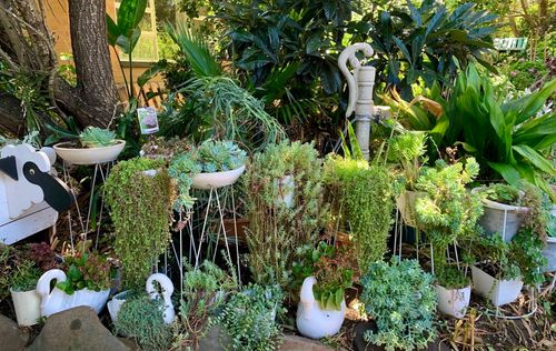 87FD816B-D30F-49C1-ADFB-C235F9A5720E.jpeg 87FD816B-D30F-49C1-ADFB-C235F9A5720E.jpeg