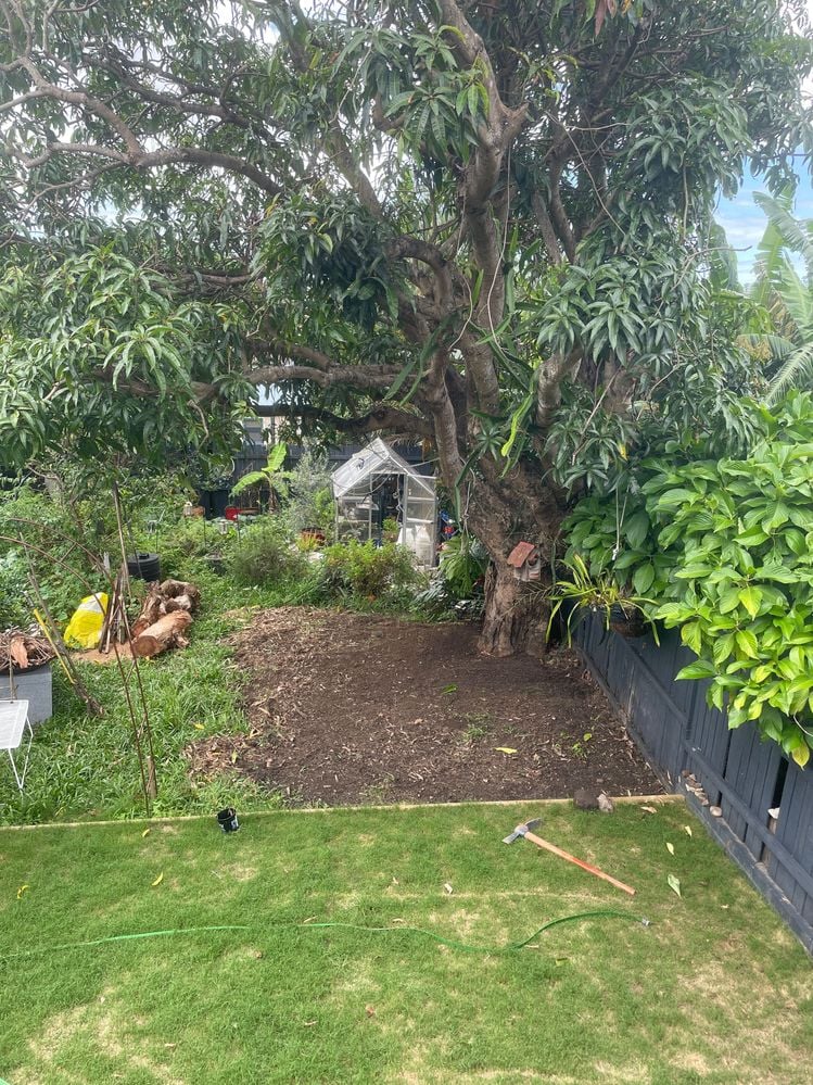 SLFDesigns_1-1641860738188.jpeg SLFDesigns_1-1641860738188.jpeg