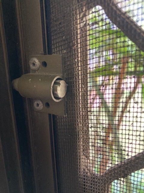 image006.jpg image006.jpg