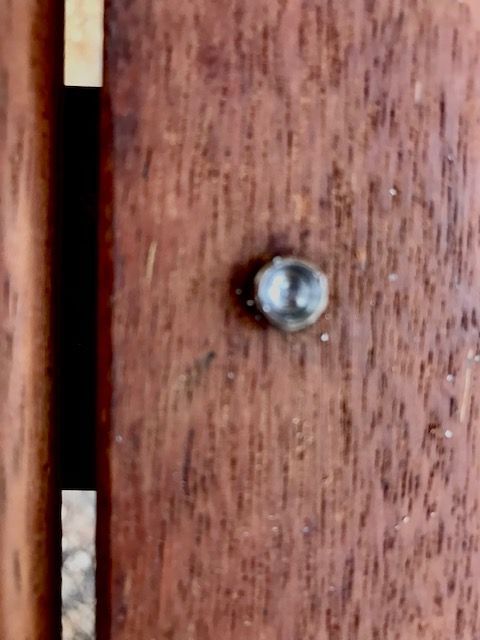 IMG_1181.jpg IMG_1181.jpg