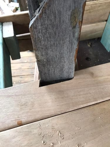 54 04-01-2024.jpg 54 04-01-2024.jpg