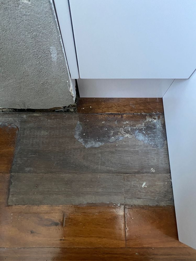 IMG_2805.JPG IMG_2805.JPG