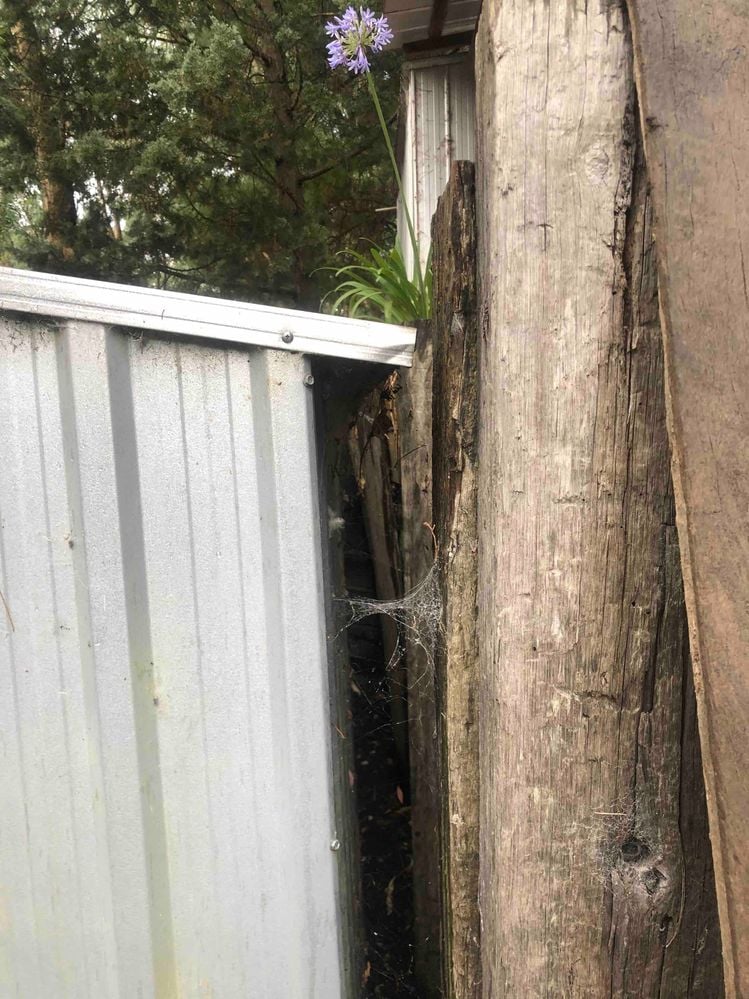 IMG_8488.jpeg IMG_8488.jpeg