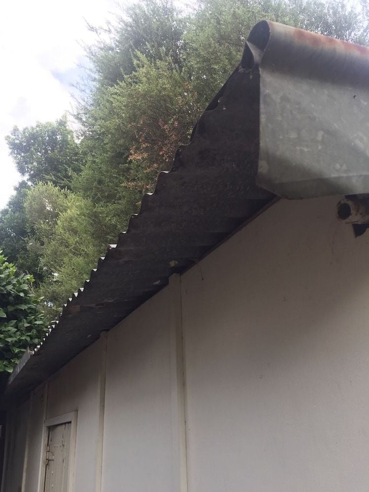 IMG_5022 (1).jpg IMG_5022 (1).jpg