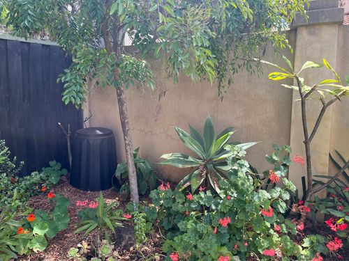 CF441D40-7859-4F61-BC4F-40F2E37DEE71.jpeg CF441D40-7859-4F61-BC4F-40F2E37DEE71.jpeg