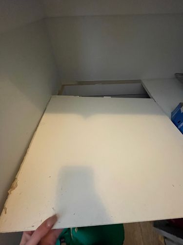 IMG_4157.jpeg IMG_4157.jpeg