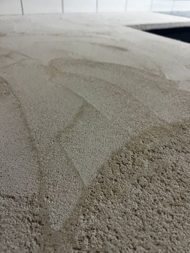 IMG_6325.jpeg IMG_6325.jpeg