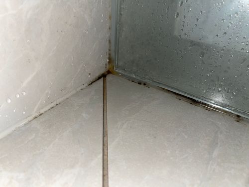 IMG_1287.jpeg IMG_1287.jpeg