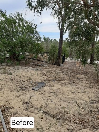 20200404_112829.jpg 20200404_112829.jpg