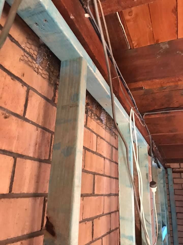 47 29-08-2019.jpg 47 29-08-2019.jpg