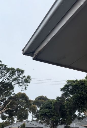 IMG_6400.jpeg IMG_6400.jpeg