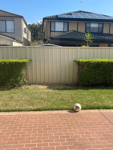 IMG_0525.jpeg IMG_0525.jpeg