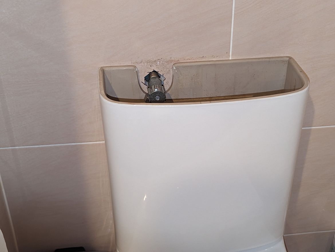 PXL_20231018_082010681.jpg PXL_20231018_082010681.jpg