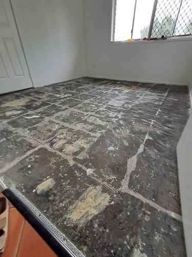 20250401_154838.jpg 20250401_154838.jpg