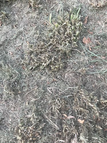 IMG_4505.jpeg IMG_4505.jpeg