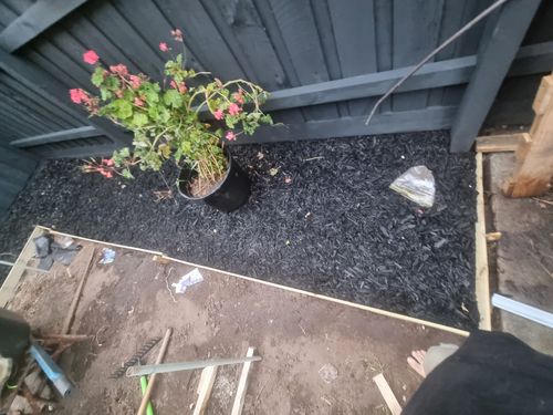 1000003623.jpg 1000003623.jpg