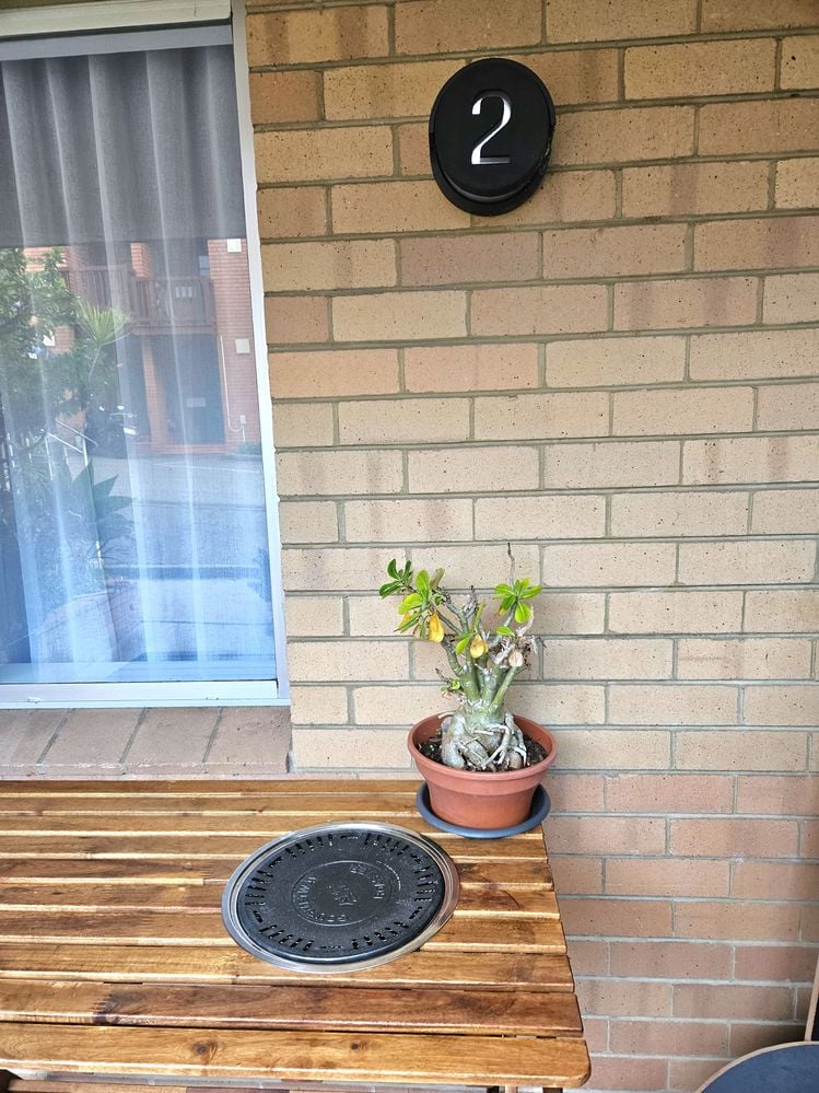 20230730_165842_1690711499609.jpg 20230730_165842_1690711499609.jpg