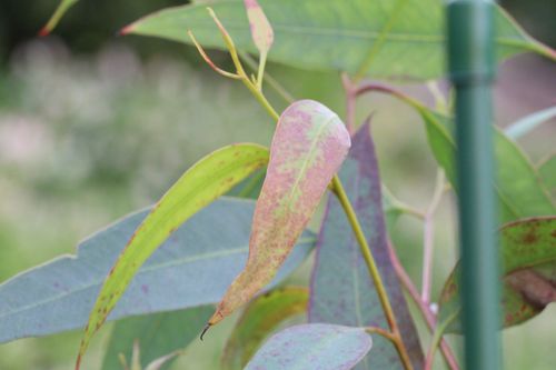 20240223171442_IMG_4282.JPG 20240223171442_IMG_4282.JPG