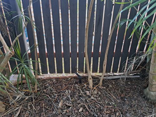 1000073145.jpg 1000073145.jpg