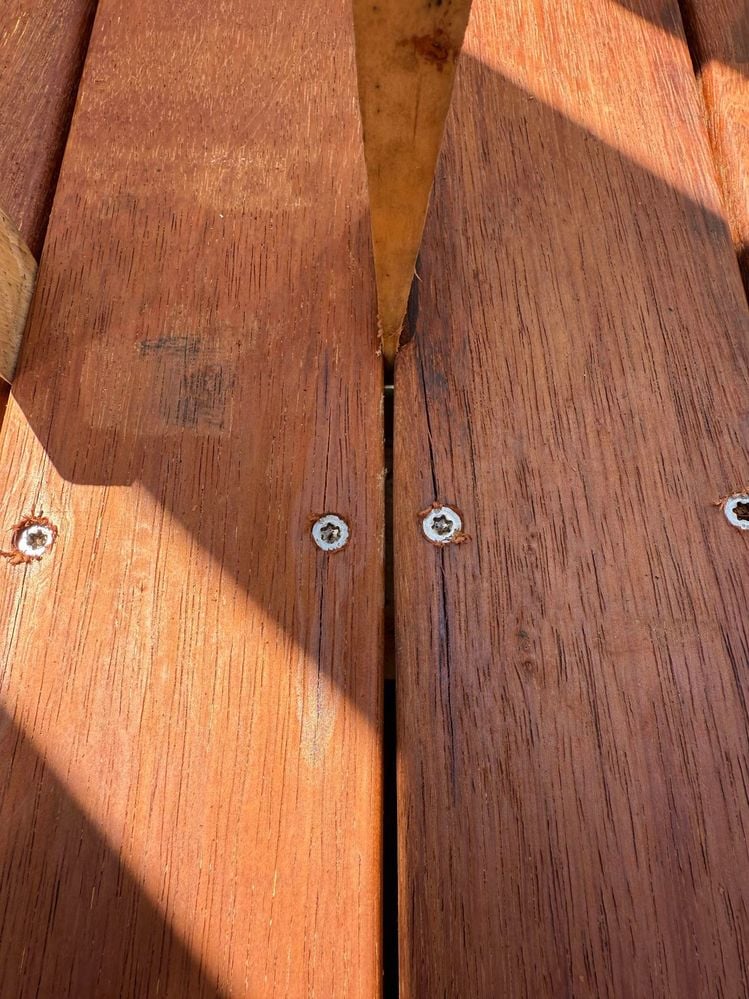 462567450_1711137409463200_8112402221414829257_n.jpg 462567450_1711137409463200_8112402221414829257_n.jpg