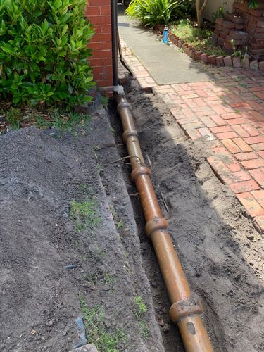 IMG_7360.jpeg IMG_7360.jpeg