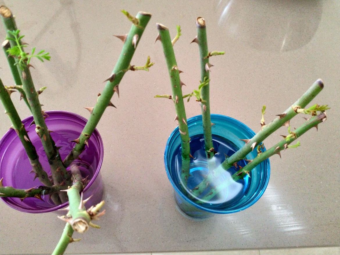 IMG_20210909_150128.jpg IMG_20210909_150128.jpg