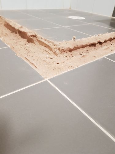 20210708_065359.jpg 20210708_065359.jpg