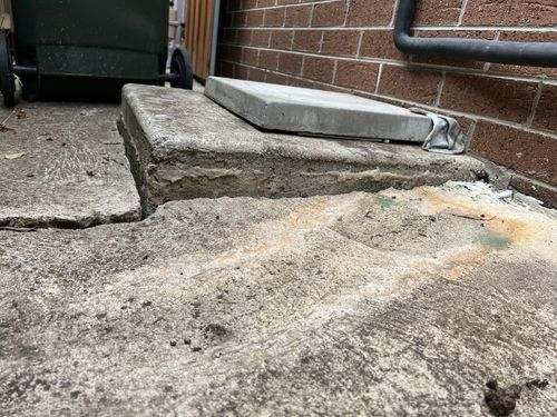 IMG_3810.jpeg IMG_3810.jpeg