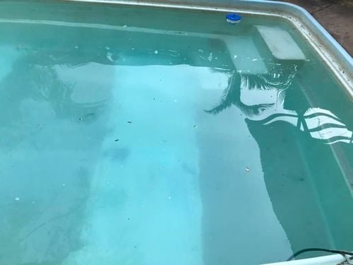 23 13-09-2023.jpg 23 13-09-2023.jpg