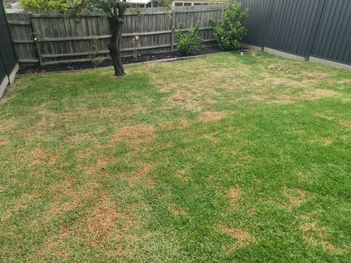 1767861083226860555978889628031.jpg 1767861083226860555978889628031.jpg