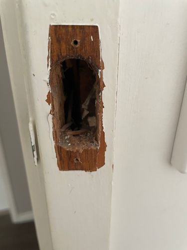 879E4397-BA27-4B07-B6C7-6AA0E7F1B084.jpeg 879E4397-BA27-4B07-B6C7-6AA0E7F1B084.jpeg