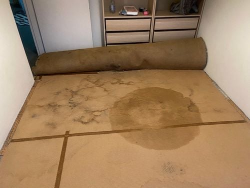 0720276A-6605-42FC-B91B-30F32086ED5E.jpeg 0720276A-6605-42FC-B91B-30F32086ED5E.jpeg