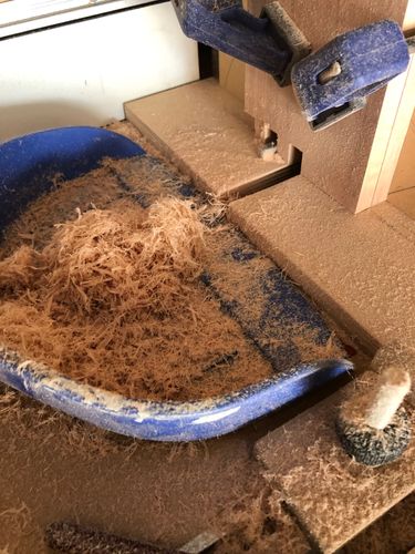 IMG_7055.JPG IMG_7055.JPG