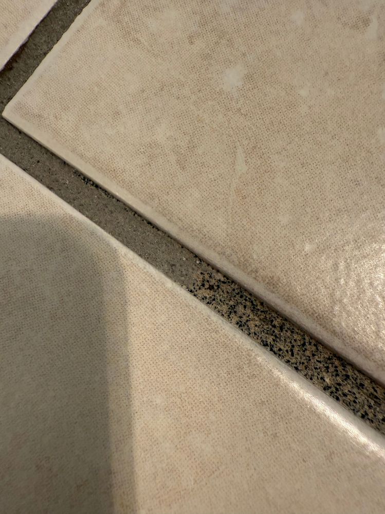 IMG_3659.JPG IMG_3659.JPG