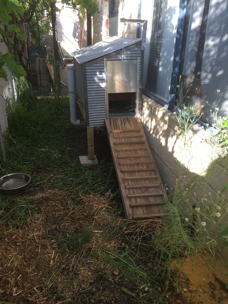 inposition.jpg inposition.jpg