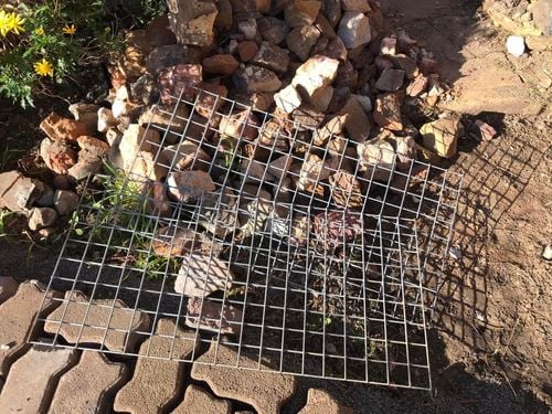 01 13-08-2022.jpg 01 13-08-2022.jpg