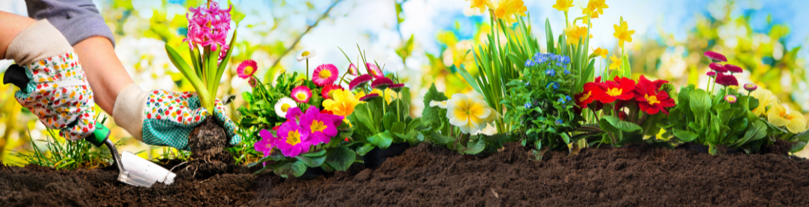 Hero Image Test Blog (52).png Hero Image Test Blog (52).png