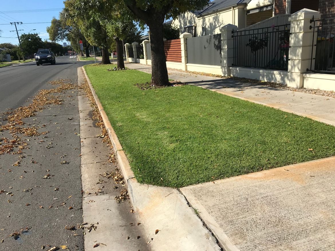 IMG_0208.jpeg IMG_0208.jpeg