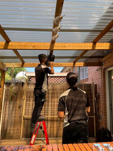 IMG_1323.jpeg IMG_1323.jpeg