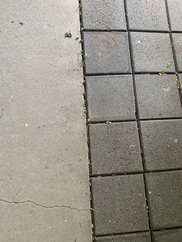 Bunnings Concrete and pavers.JPG Bunnings Concrete and pavers.JPG