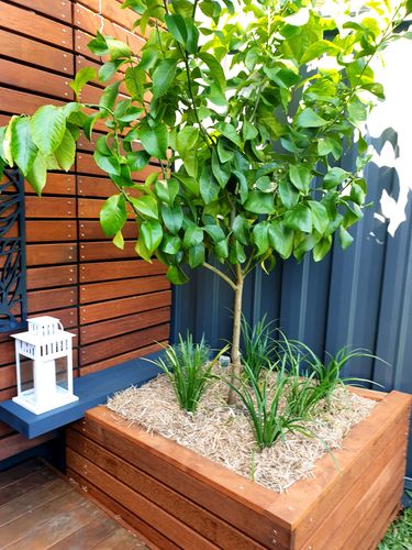 20201210_164526.jpg 20201210_164526.jpg