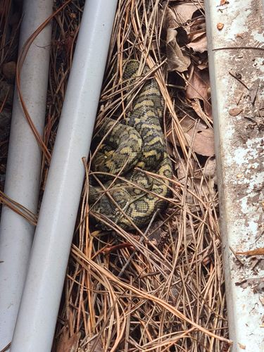 received_769329057372140.jpeg received_769329057372140.jpeg