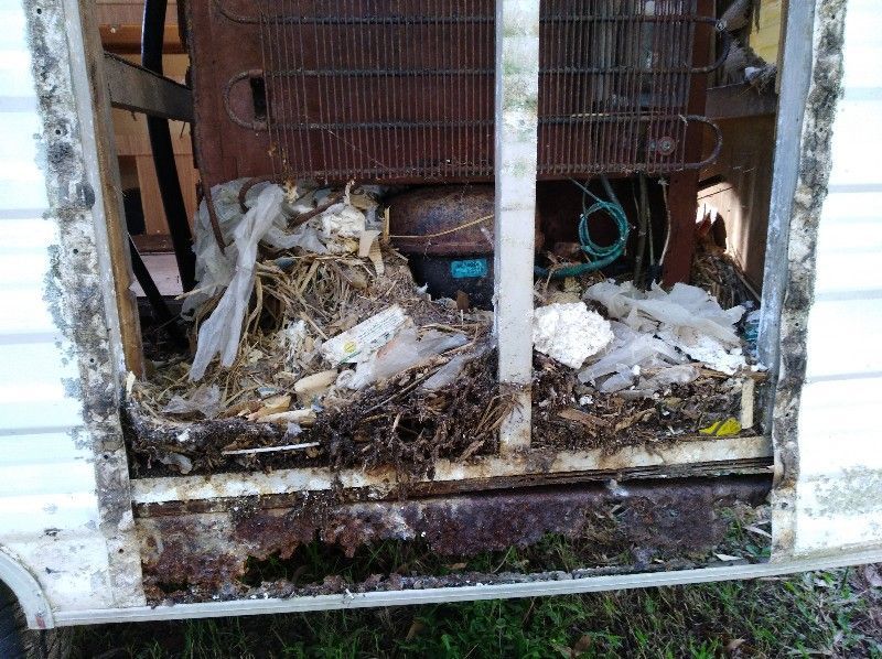 IMG_20180517_100603.jpg IMG_20180517_100603.jpg