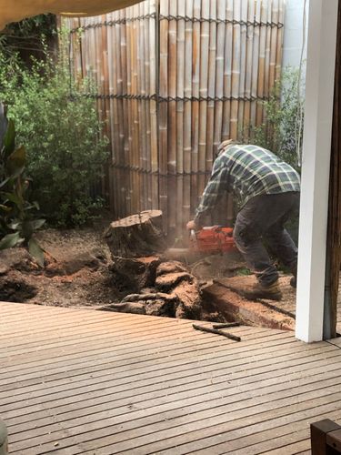 4C68DBEE-DD88-43B6-983E-472819D5A063.jpeg 4C68DBEE-DD88-43B6-983E-472819D5A063.jpeg