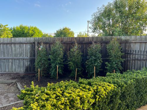 IMG_6315.jpeg IMG_6315.jpeg