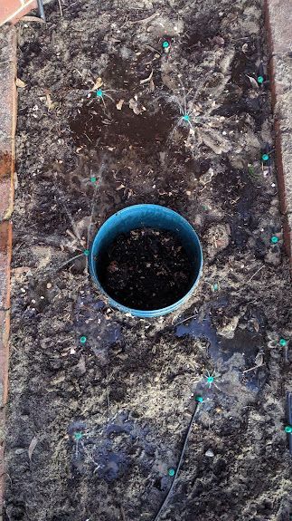 PXL_20240716_094353440.jpg PXL_20240716_094353440.jpg