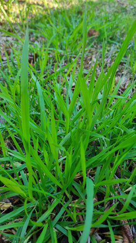 1000030891.jpg 1000030891.jpg